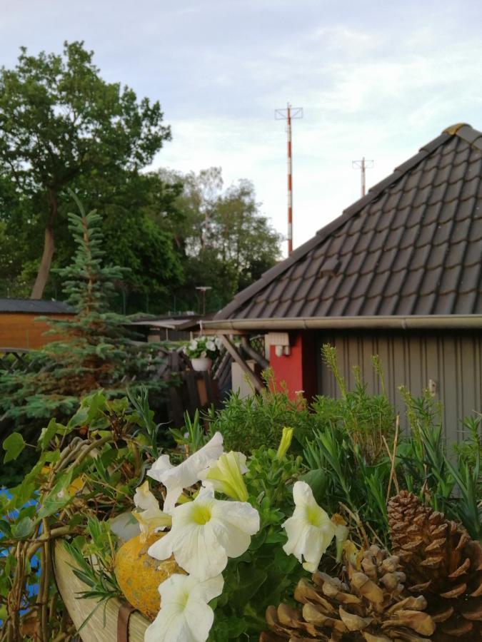 Backstage Apartment Kiel-Holtenau Экстерьер фото